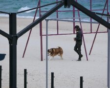 Як виглядають популярні пляжі Одеси під час карантину, фото: "гуляють не тільки собаки"