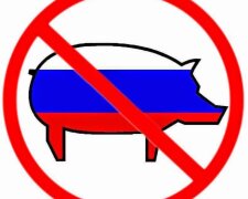 россия свинья