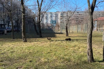 Прогноз погоди на тиждень з 27 квітня до 3 травня
