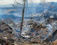 Боевики устроили подлую провокацию на фронте, позиции ВСУ в огне: детали и кадры с места ЧП