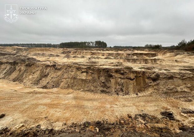 ����: politeka.net