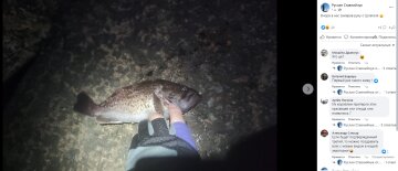 В Одессе мужчина случайно поймал редкую рыбу