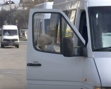Новий графік транспорту в Запоріжжі