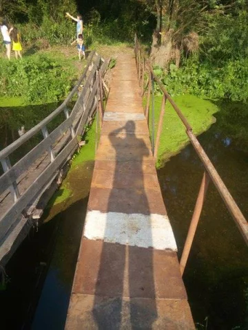 kjuyht5r70988901_n