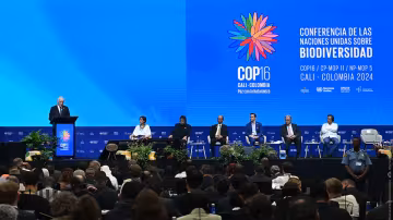 COP 17 в Ереване: может ли страна с экологическими кризисами быть площадкой доверия?