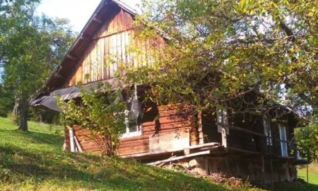 Будинок у Карпатах за тисячу доларів: фото