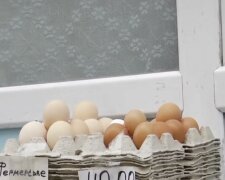Подорожчання яєць у Дніпрі