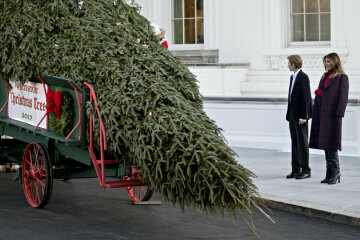 Мелания Трамп и елка