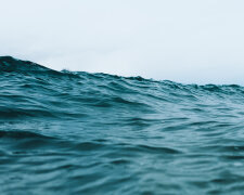 Затерянные в Тихом океане, четыре дня без воды: удивительная история спасения