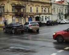 Водитель сбил 98-летнего дедушку в центре Одессы и скрылся: кадры с места вопиющего происшествия