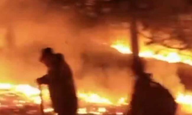 В россии не могут обуздать пожары, огонь уничтожил сотни домов: опубликовано новое видео