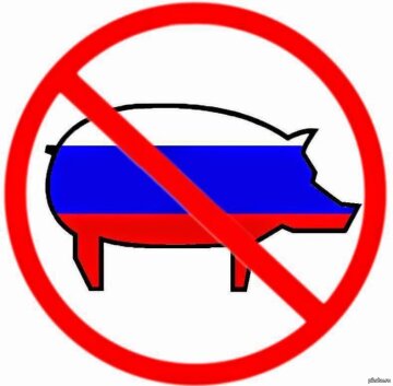 россия свинья