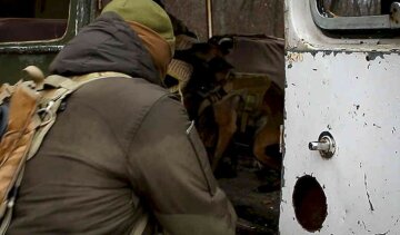 Гвардейцев и спецназовцев привели в боевую готовность под Харьковом: кадры происходящего