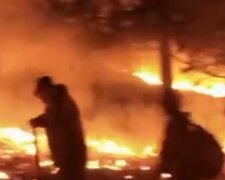 В россии не могут обуздать пожары, огонь уничтожил сотни домов: опубликовано новое видео