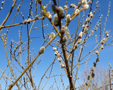 Прогноз на тиждень з 27 квітня до 3 травня в Полтаві