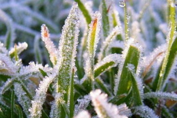 иней заморозки