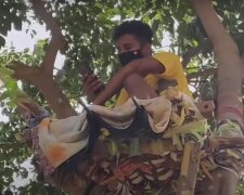 Хворий вірусом хлопець провів 11 днів на дереві: "У лікарні не було ліжок"