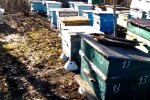 «Вот это начало 2021 года»: видео аномалии в Одесской области, проснулись даже пчелы
