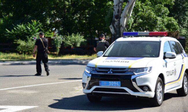 полиция, полиция Украины