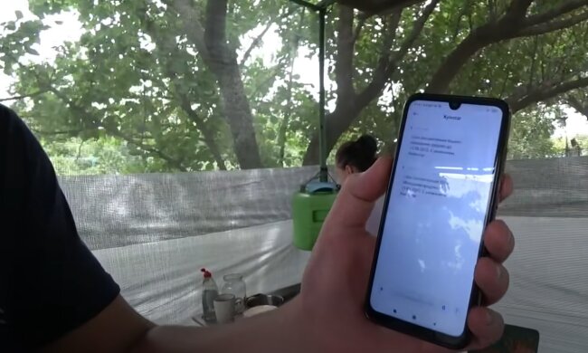 мобильный оператор, телефон, киевстар