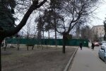Загадочная застройка появилась в Киеве на Шулявке, фото: жители занервничали
