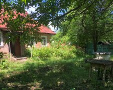 Будинок у тихому місці за 50 тисяч гривень продають в Україні: як він виглядає і що в ньому є