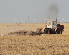трактор урожай уборка поле