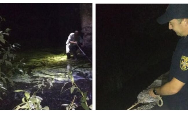 Просив допомоги під мостом: на Харківщині чоловік застряг у річці, фото