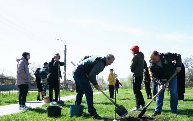Работники Госэкоинспекции вместе с выпускниками школ высадили в Ахтырке дубовую "Аллею несокрушимости"