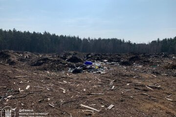 Сміттєві «багатоповерхівки» посеред лісу: на Житомирщині лісівників через суд змушують заплатити 1,6 мільйона за забруднення лісу
