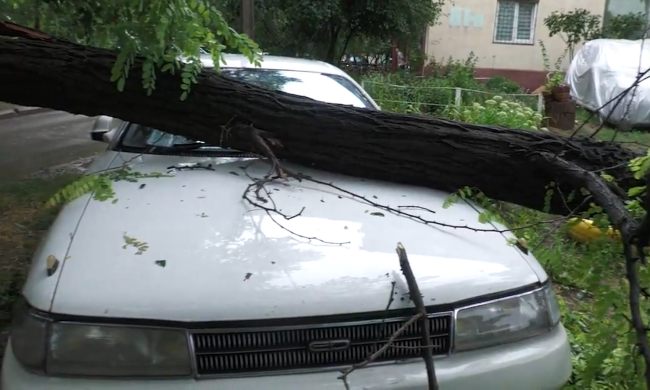 Прогноз погоди на тиждень з 28 квітня до 4 травня у Запоріжжі