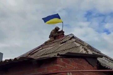 прапор України, звільнення територій від окупації