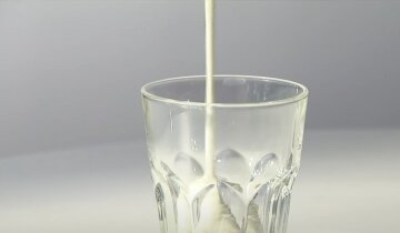 Дефіцит молочних продуктів у Київській області: