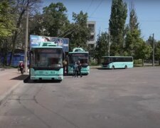 автобус, транспорт