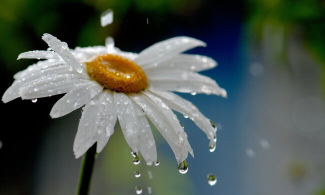 погода в Украине 11 мая