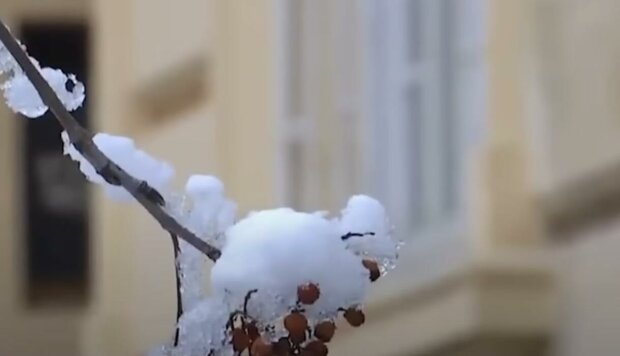  ������� ��������� ����� �������� ����� ���������� 