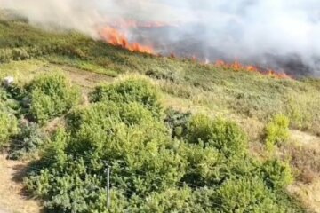 Массовые пожары вспыхнули в Харьковской области, фото: есть жертвы