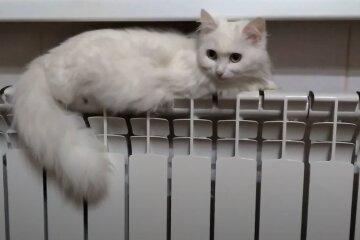 отопление, скрин