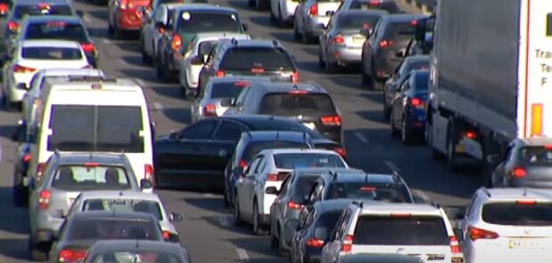 ����: politeka.net