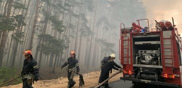 На Луганщині місцева влада своїм непрофесіоналізмом сприяє розповсюдженню пожеж