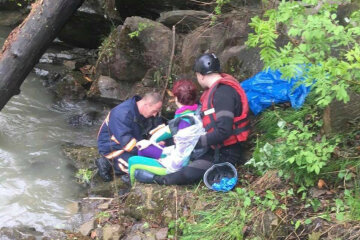 59328185_2958335087517705_4282669314277900288_n