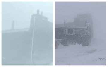 Снігопад обрушився на Україну, стихію не зупинити: кадри травневої погоди