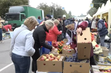 Дефіцит фруктів на Вінниччині