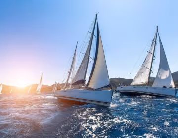 Sea Pilgrims