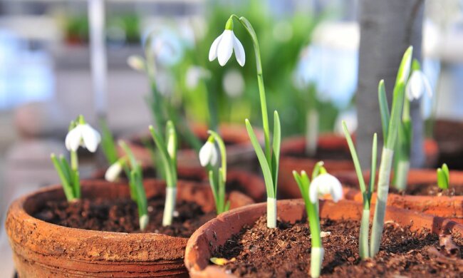 Погода в Украине 28 марта
