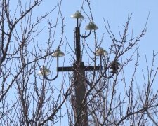 Графіки відключення світла в Житомирській області на 31 грудня