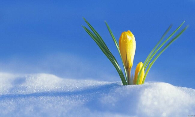 погода в Украине