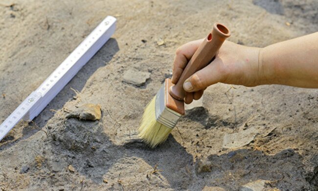 раскопки, архологи