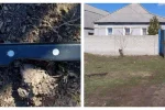 На Харьковщине жена "героически" бросилась защищать мужа, фото: " с ножом напала на..."
