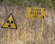 Воины ВСУ показали "элитный" завтрак оккупантов в Чернобыле: "Наверное, это шоколадная перловка"